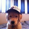 abcgrphc
