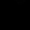 daneenzavian