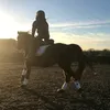 macey_equstrian_dancer