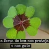 ivonebrito54