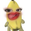 zfnaho