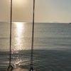 kholoud9355