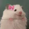 charmingfle