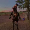 agustinadomke5