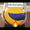 volieveryday