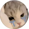 betom77