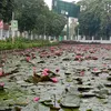 htetnayaung633