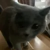 sqhfxp3