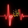 mohammedseid290