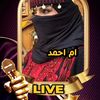 am_ahmad484