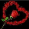 user182619017698