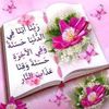 user359602830