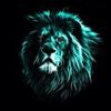 cha9bou9officiel3838