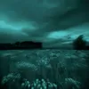 jade._.209