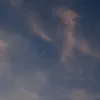 fvvck777