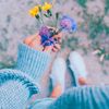 israa84_