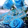 user7781532795116