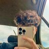 ayman_ld1
