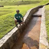 altamirpereira21
