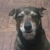nadiirmeira