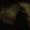t.hv__