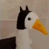 bati_patito