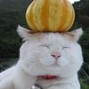 clever___username