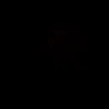 apaansilu_11