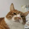 geeeeeeeeeeeeeee10