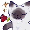 smoke_24534
