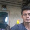 kaikarangpaci