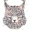 lynx007ltk