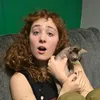 desativadinha15