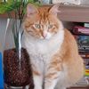 emily1748_