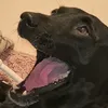 sc00b999