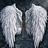 ghanibb6