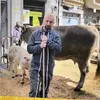 juancarlosplase
