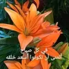 user5346440128088