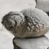 rozpierdol.afrykanski