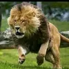 qassemmohamed938