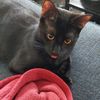 stacy_unfocused