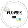 flower.od.ua