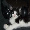 _smuffles