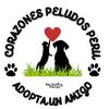 corazonespeludosperu