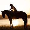 Wanaka Horse Trekking