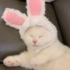 nyekoatsume