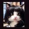 ty0paen