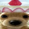 sstaruwucoco