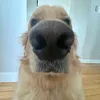 ulittew