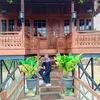 umeee0602